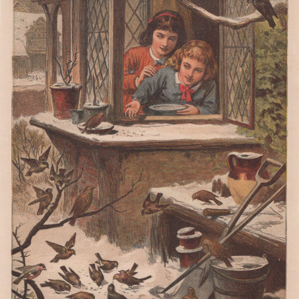 Nutrire gli uccelli, Leitghton Brothers