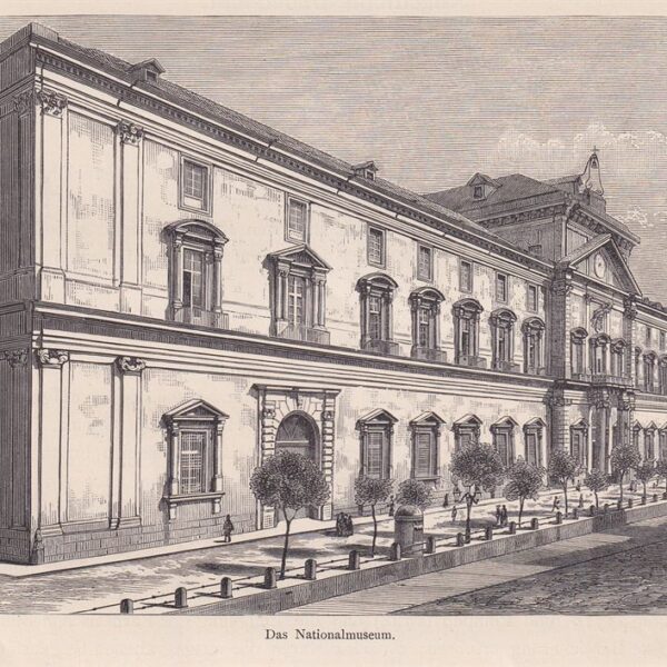 Napoli, Museo Nazionale, 1884