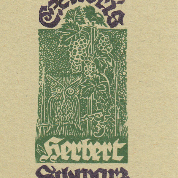 Aulitzky Erich (Germania)