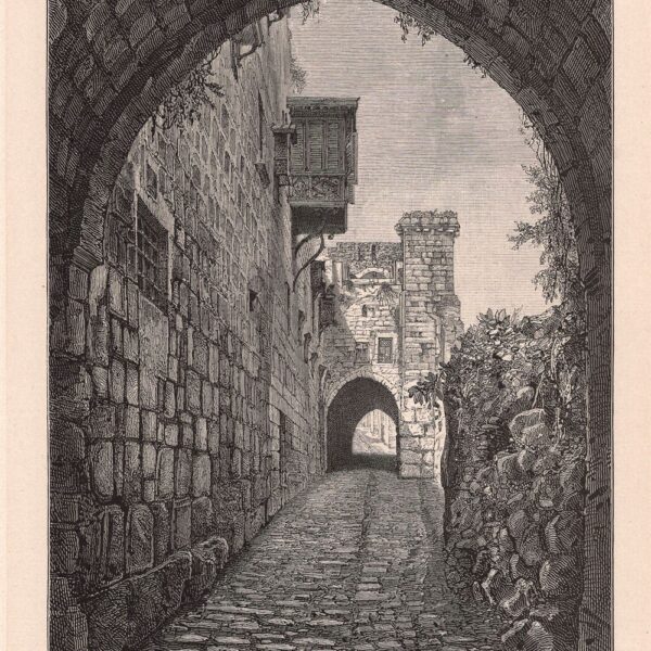 Gerusalemme, Jerusalem site de la vois douloureuse, 1860
