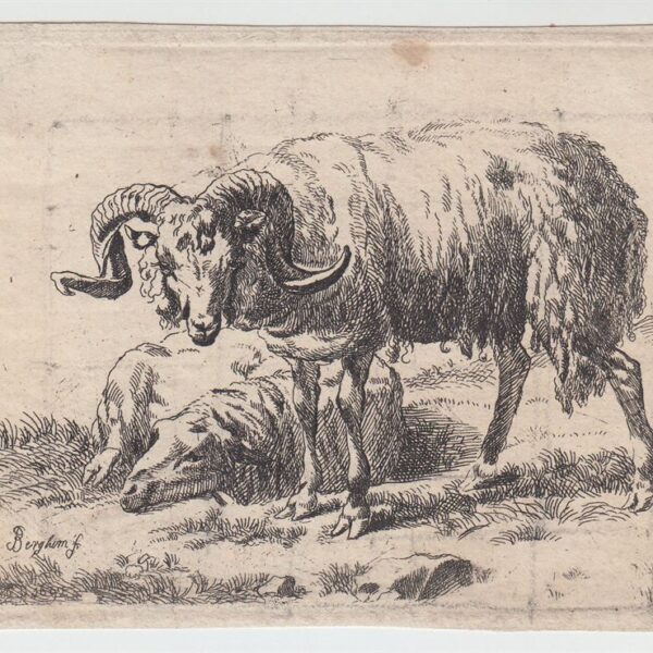 Nicolaes Berchem Animalia, Capre