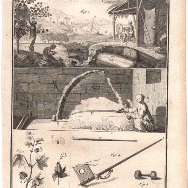 Diderot e D’Alembert, 1771, raccolta del cotone, cotonieri, arti e mestieri