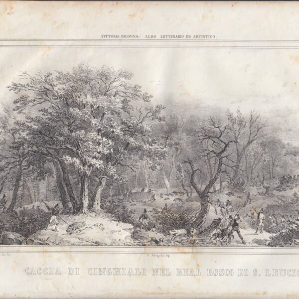 Real bosco di S.Leucio, 1850