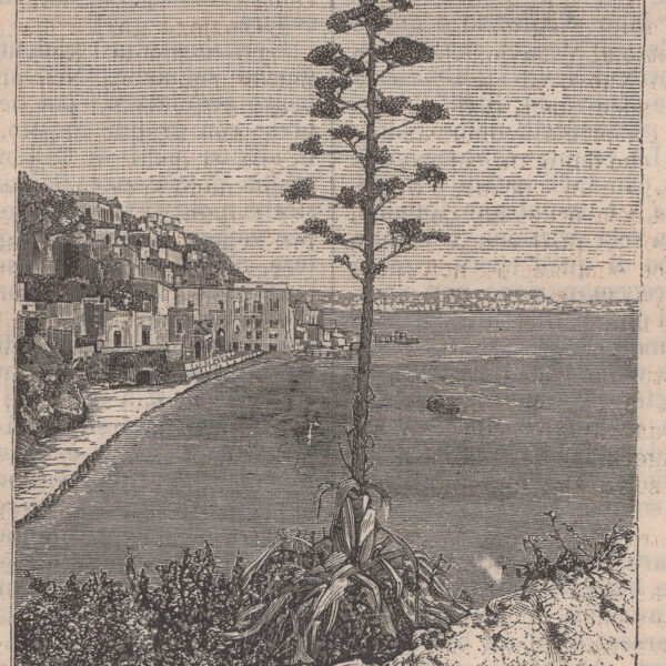 Napoli, Posillipo, 1890