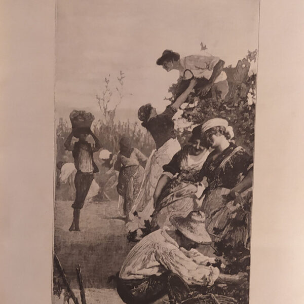 La Vendemmia, quadro di Angelo dall'Oca Bianca, 1886