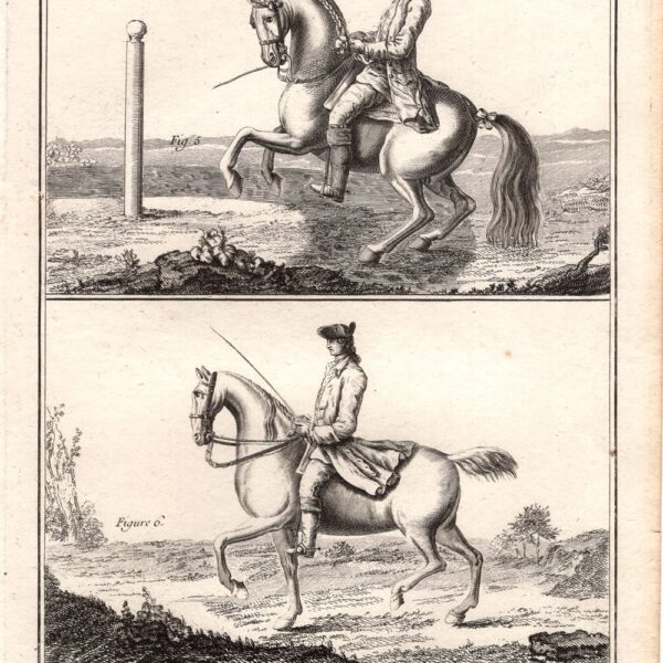 Diderot e D'Alembert, 1778, Equitazione, il galoppo