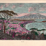 1880 Napoli Vesuvio panorama xilografia acquarellata