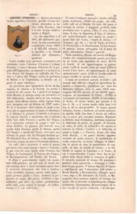 Abruzzo Citeriore, stemma civico, acquarellato d'epoca, 1865 - immagine 2