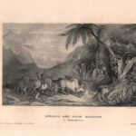 Madagascar, Gegend bey Fort Dauphin, A.H.Payne, 1840-50