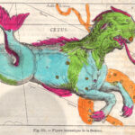 La Balena, Costellazione, Zodiaco, 1882