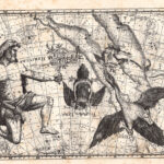 Il Cigno, la lira, Costellazione, Zodiaco, 1882