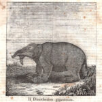 Dinotherion Giganteum, animali leggendari, 1843