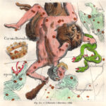 Ercole da l'atlas di Hevelius 1882