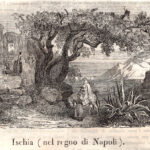 Ischia, 1843