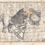 Il Cancro, Il Leone, Costellazione, Zodiaco, 1882
