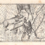 La Lince, Costellazione, Zodiaco, 1882
