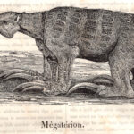 Megaterion, animali leggendari, 1843