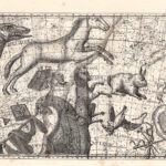 Licorno, levriero, il grande cane, Costellazione, Zodiaco, 1882