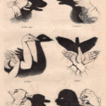 Le Ombre Cinesi, 1861