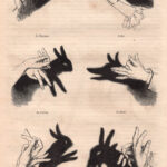 Le Ombre Cinesi, 1861