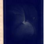 La grande nebulosa di Orione, xilografia 1882