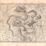 Il piccolo orso, Dragone, Giraffa, Costellazione, Zodiaco, 1882