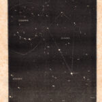 Stelle della costellazione del Bouvier, xilografia 1882