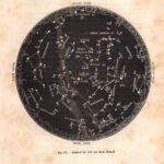 Costellazione del cielo di Agosto, zodiaco, xilografia 1882