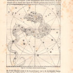 Il Dragone da un disegno di Bayer, costellazione, zodiaco, xilografia 1882