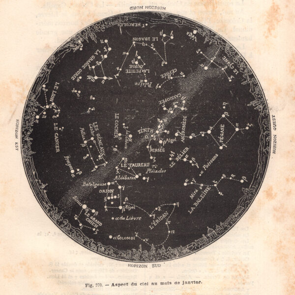 Costellazione del cielo di Gennaio, zodiaco, xilografia 1882