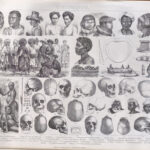 Etnografia, Uomini preistorici delle Indie, Cina, 1850