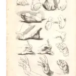 Gerard de Lairesse (1641-1711) principi del disegno mani e piedi, XVIII secolo