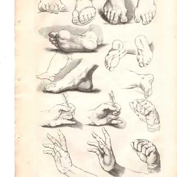 Gerard de Lairesse (1641-1711) principi del disegno mani e piedi, XVIII secolo