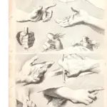 Gerard de Lairesse (1641-1711) principi del disegno studi di mani, XVIII secolo
