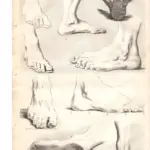 Gerard de Lairesse (1641-1711) principi del disegno studi di piedi, XVIII secolo