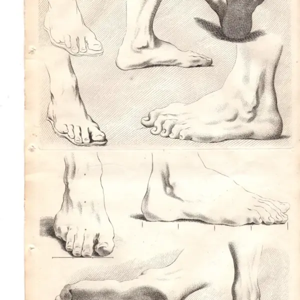 Gerard de Lairesse (1641-1711) principi del disegno studi di piedi, XVIII secolo