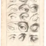 Gerard de Lairesse (1641-1711), principi del disegno: gli occhi, XVIII secolo
