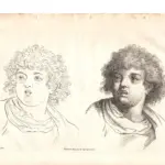 Gerard de Lairesse (1641-1711), da A.Carracci: volto di ragazzo, XVIII secolo