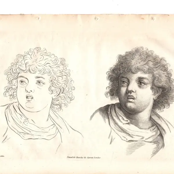 Gerard de Lairesse (1641-1711), da A.Carracci: volto di ragazzo, XVIII secolo