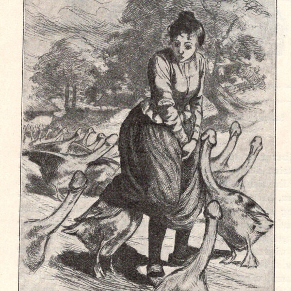 Rappresentazione simbolica della lascivia maschile.  1890 stampa erotica