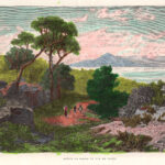 Massa Lubrense, Capri, xilografia acquarellata,1885