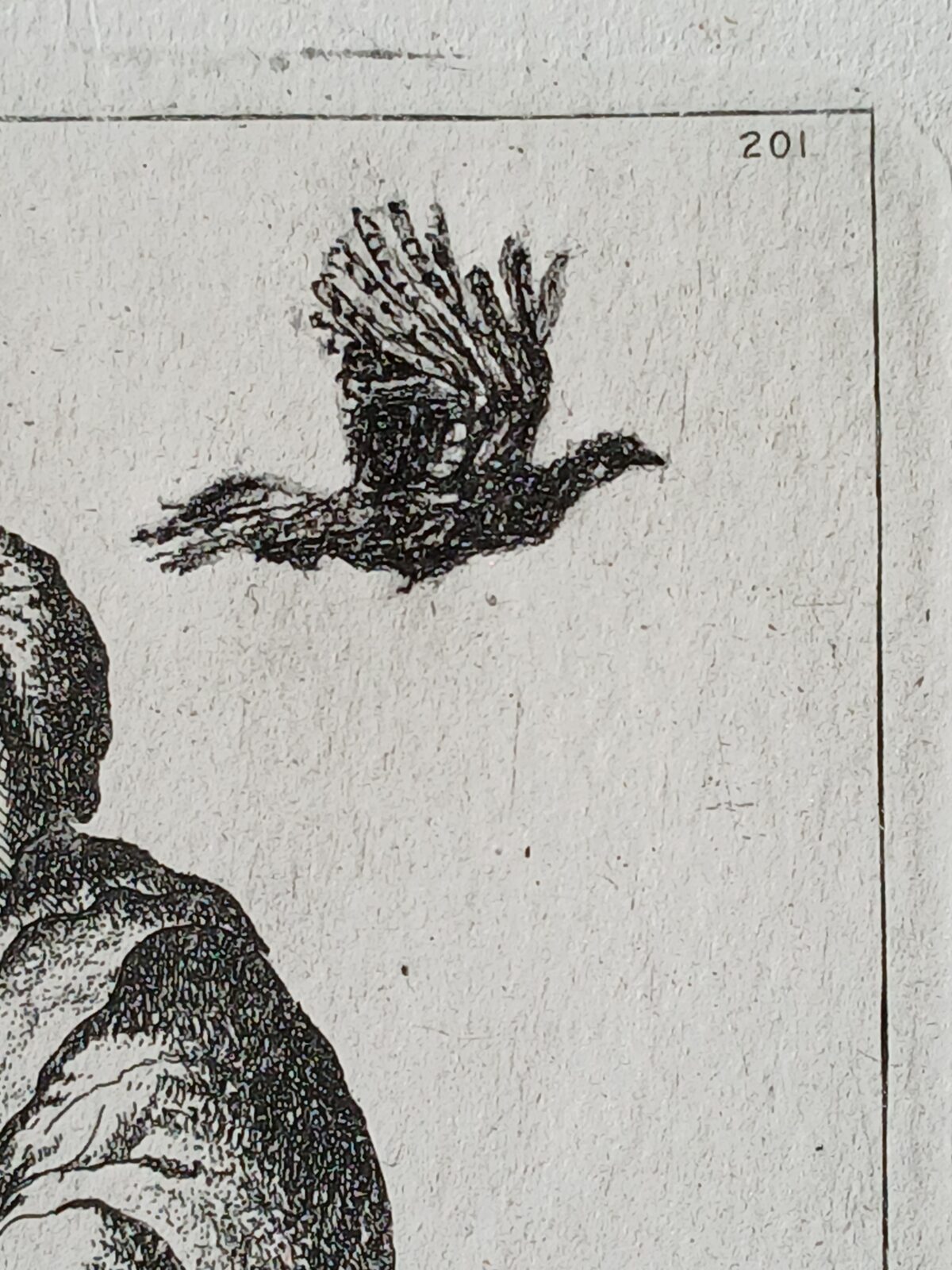 Vecchio con mantello, da Rembrandt, con intervento di F. Mattarozzi – Image 3