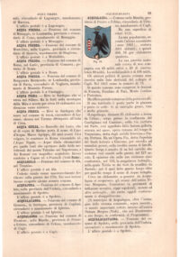 Acqualagna, stemma civico, acquarellato d'epoca, 1865 - immagine 2