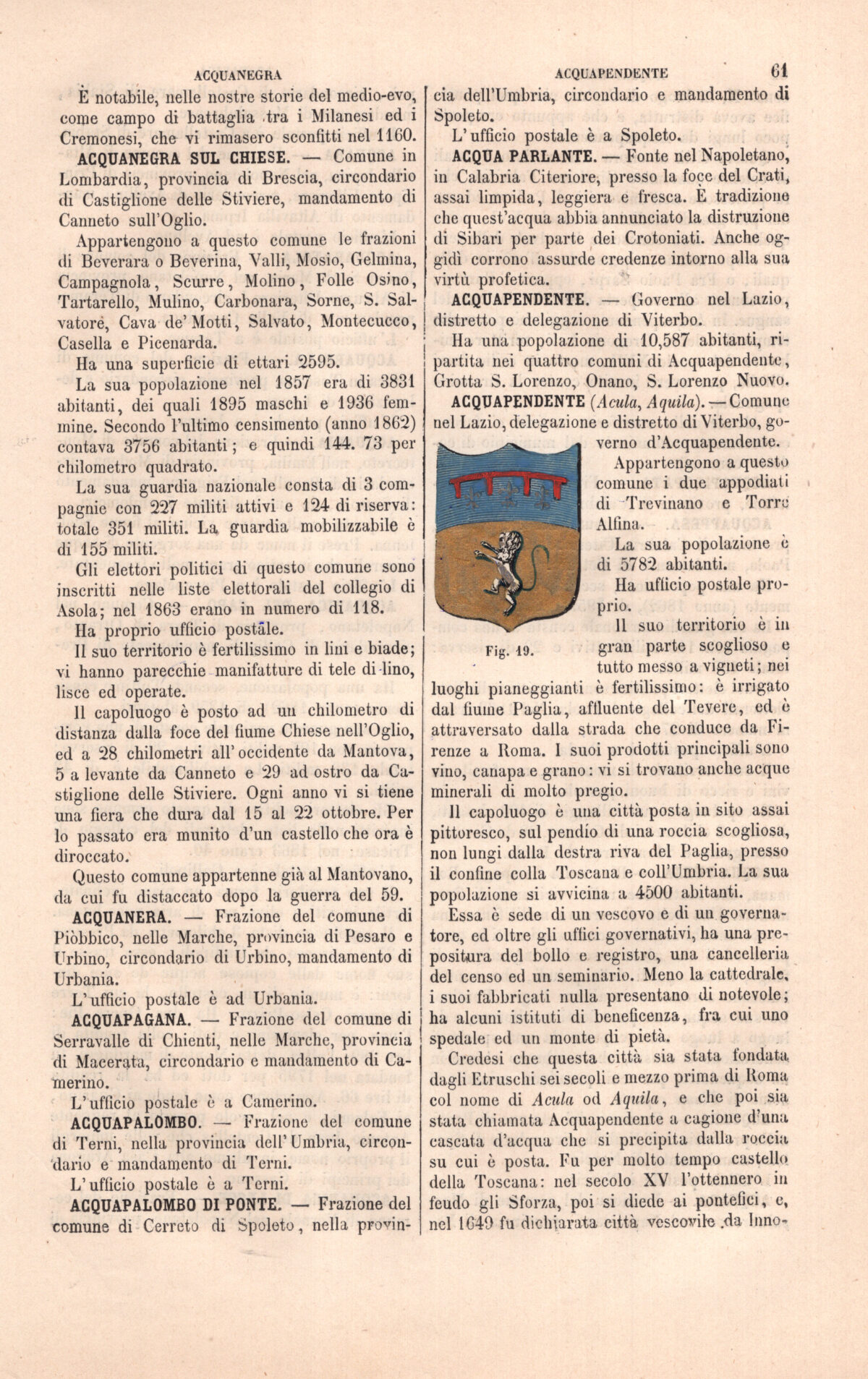 Acquapendente, stemma civico, acquarellato d'epoca, 1865 - immagine 2